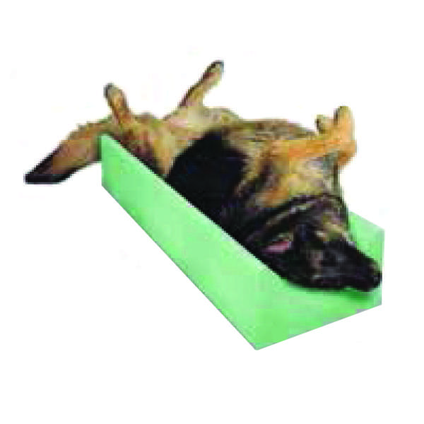 K-9 EZ Boy Radiographic Positioning Aid, Non-Covered - Image 2