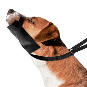 EZ Muzzle