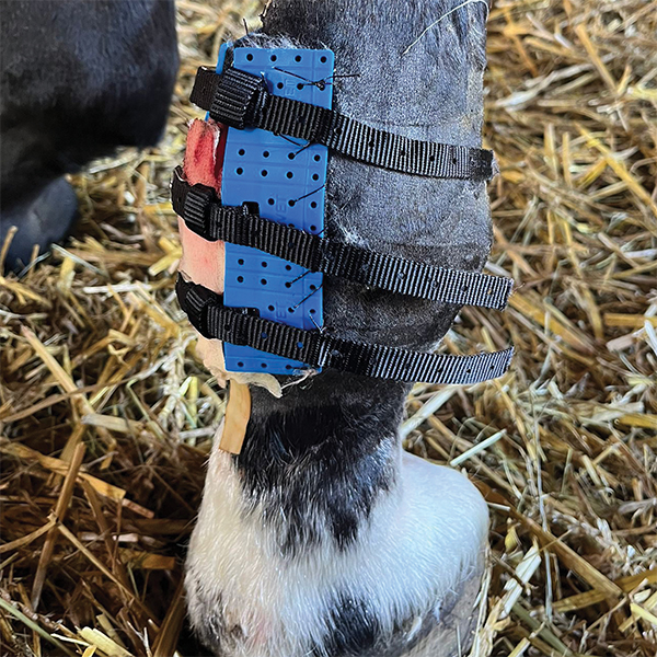 AniVet® Wundfix System - Image 2