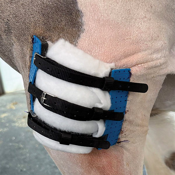 AniVet® Wundfix System - Image 3